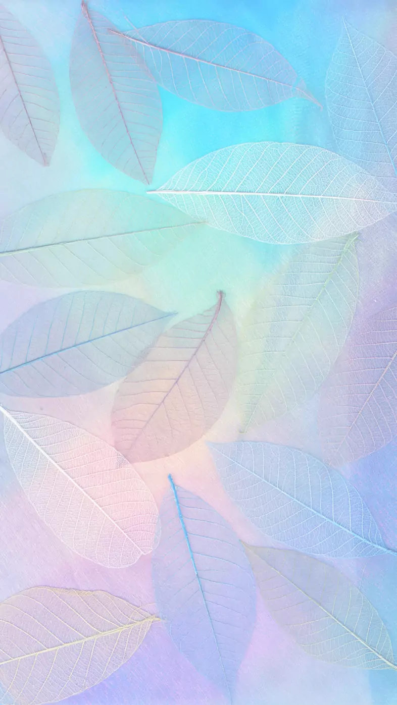 Aesthetic wallpaper