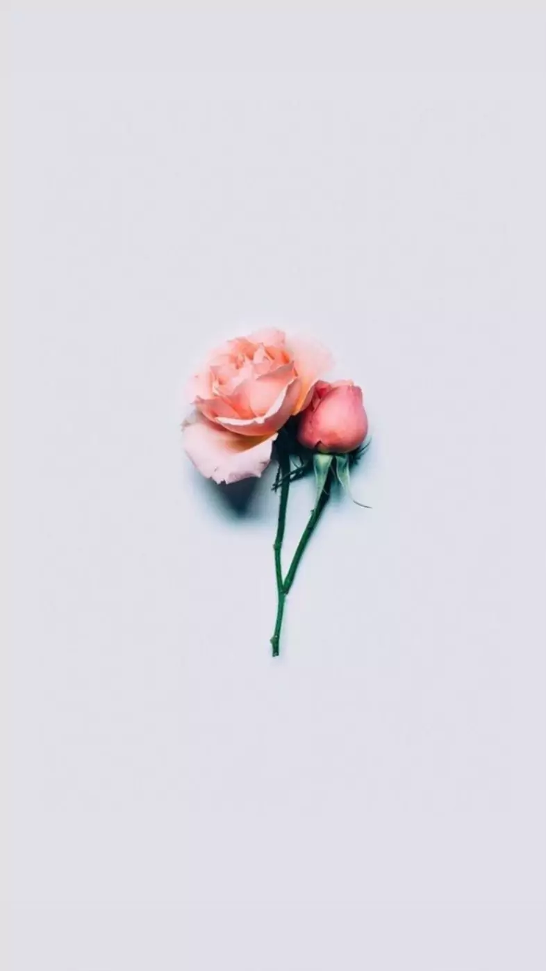 Aesthetic flower wallpaper