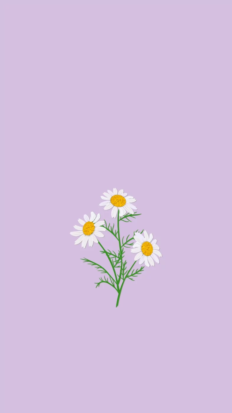 Aesthetic white Flower wallpaper