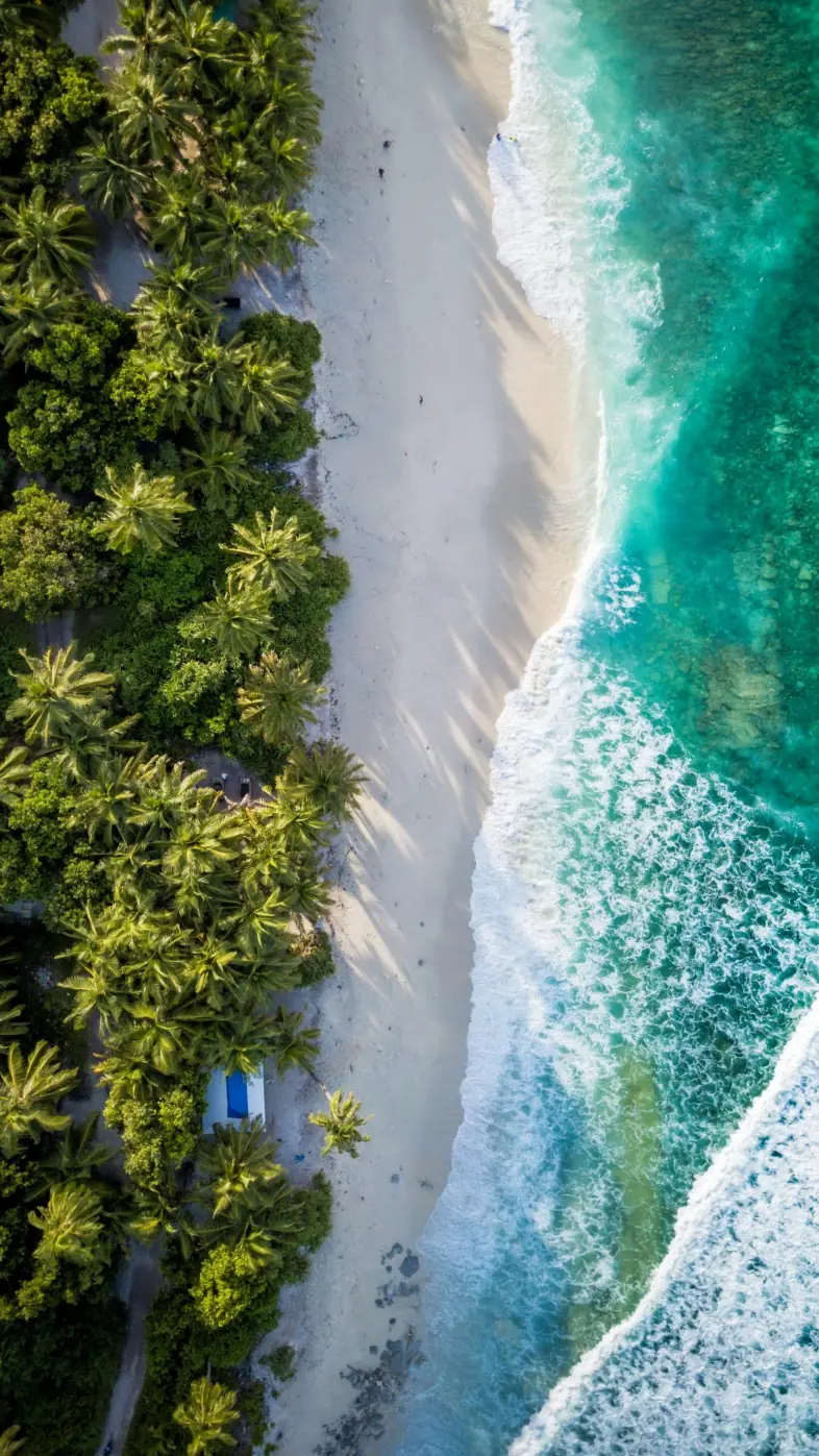 Beautiful beach  wallpaper
