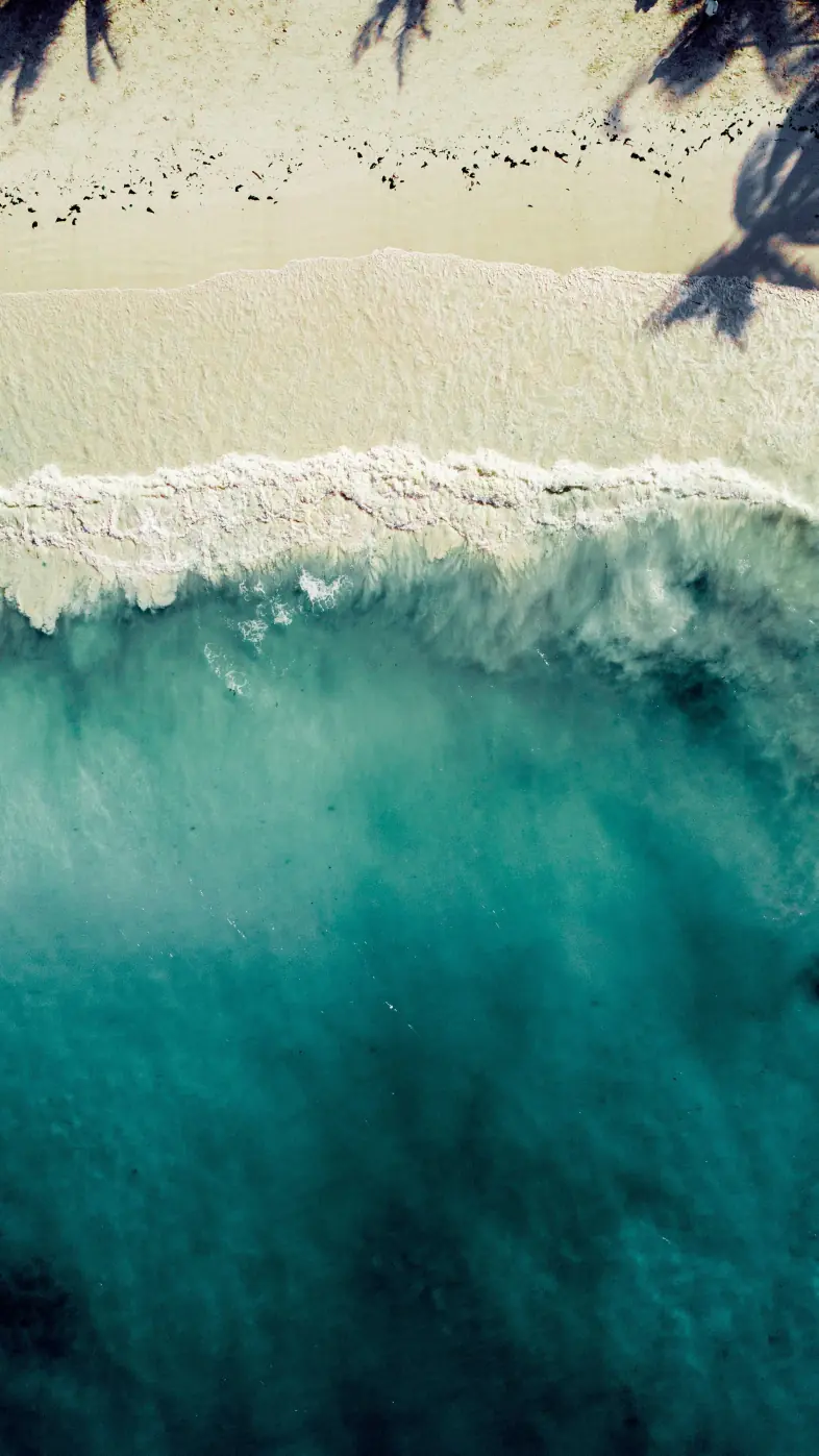 Beautiful beach  wallpaper