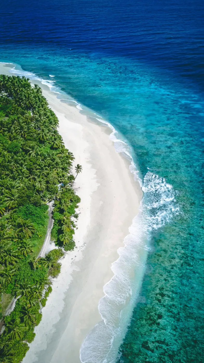 Beautiful beach  wallpaper