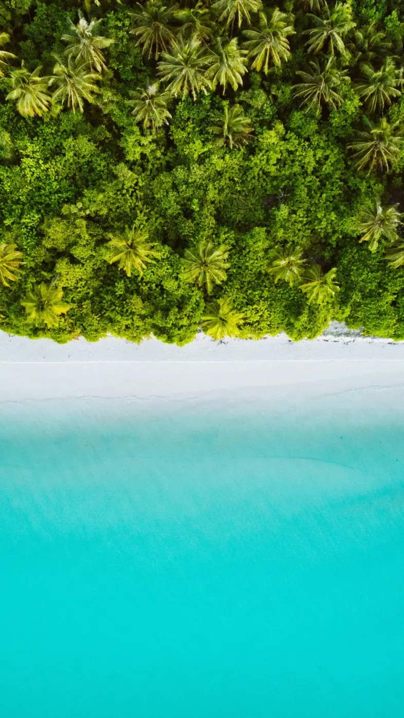 Beautiful beach  wallpaper