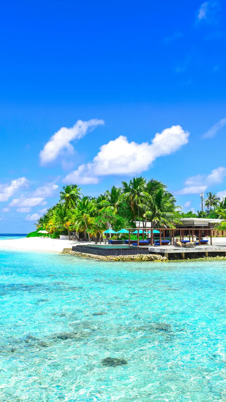 Beautiful beach  wallpaper