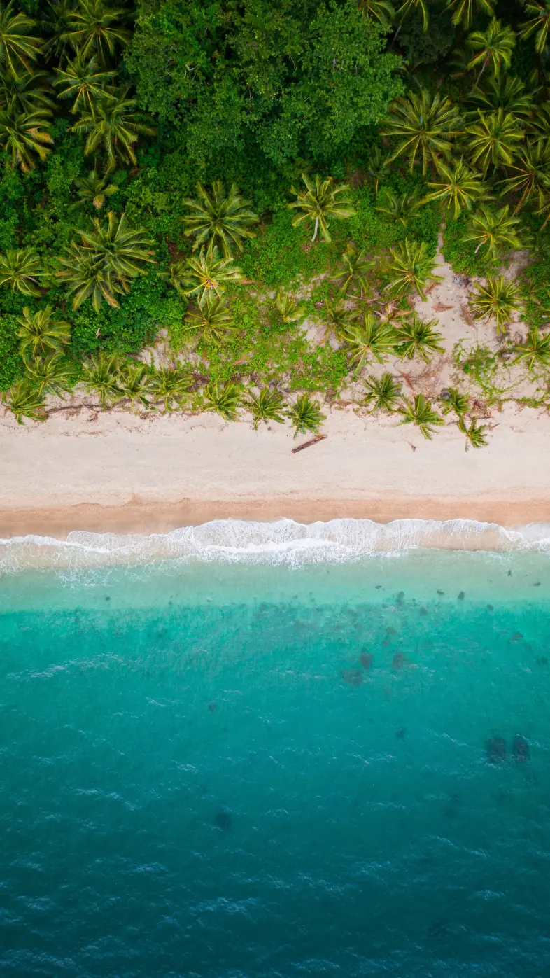 Beautiful beach  wallpaper