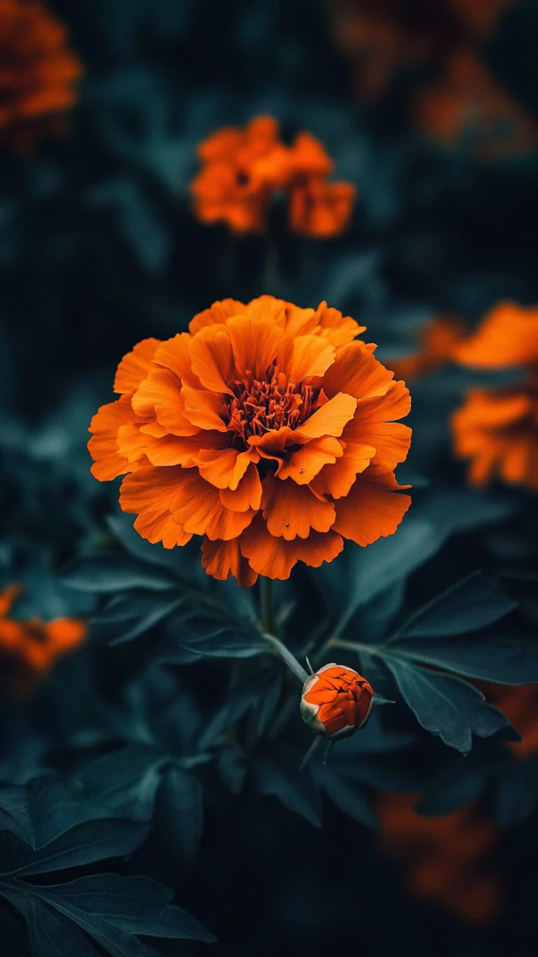 Beautiful flower wallpaper