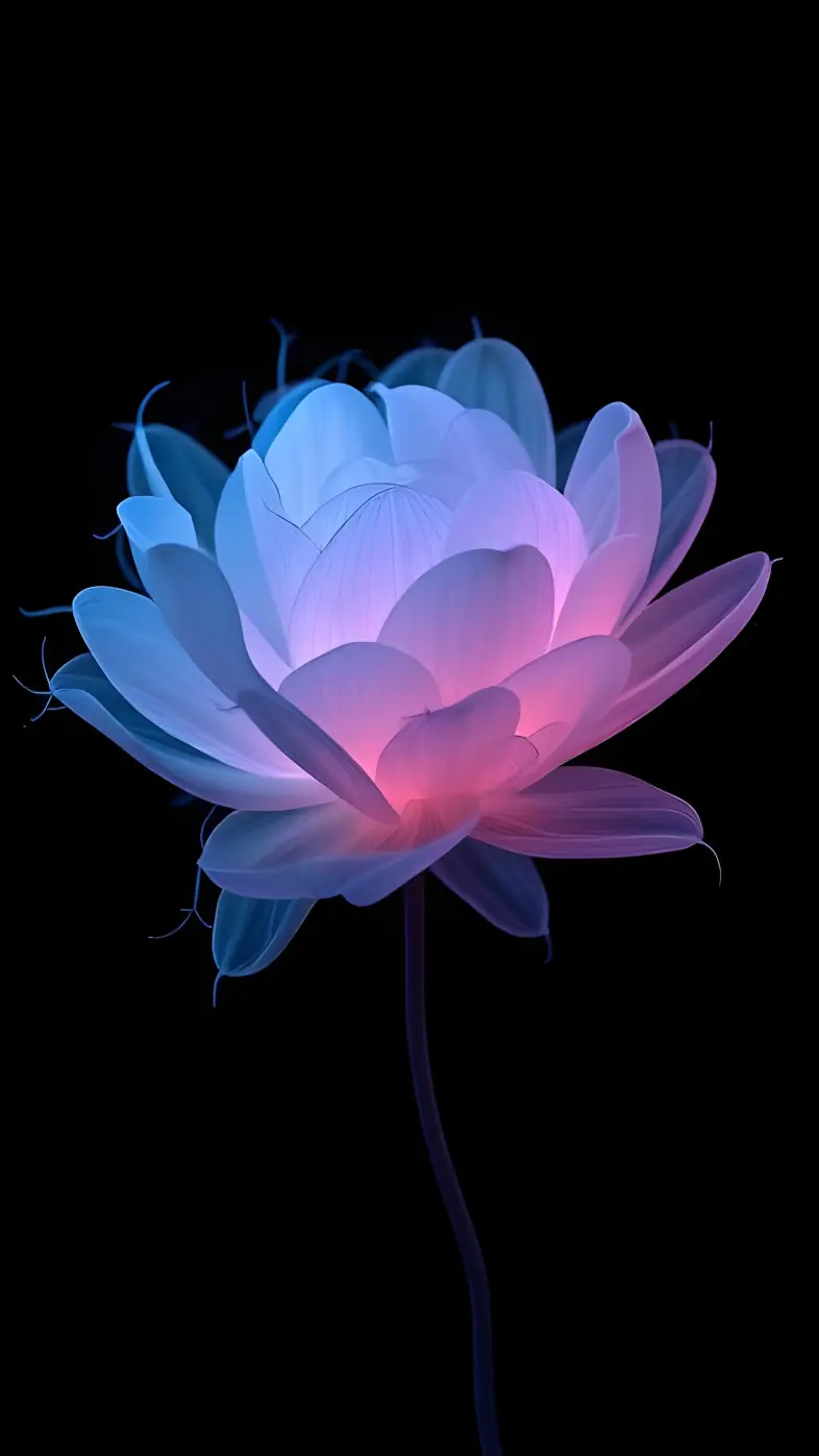 Beautiful flower wallpaper