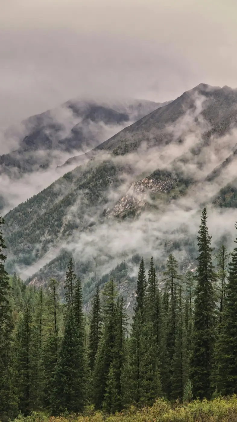 Beautiful mountains wallpaper