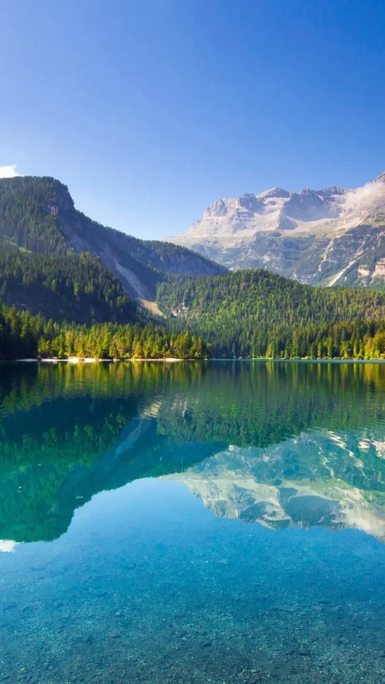 Beautiful nature wallpaper
