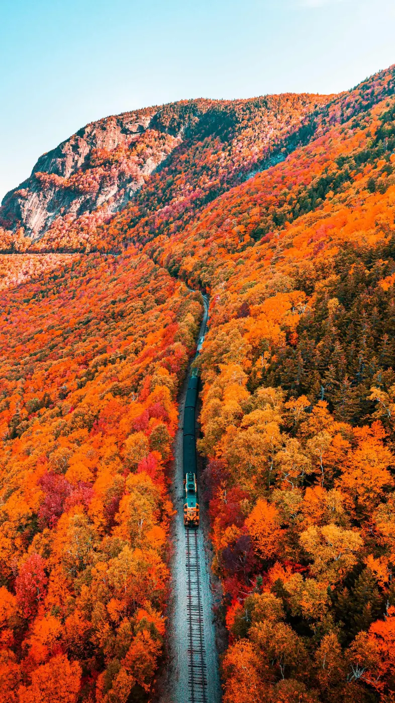 Beautiful nature wallpaper