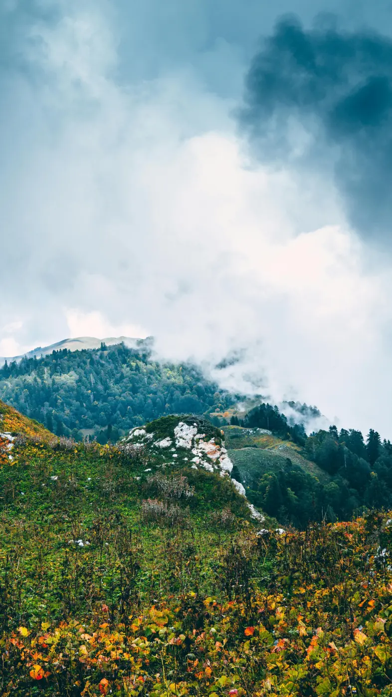 Beautiful nature wallpaper