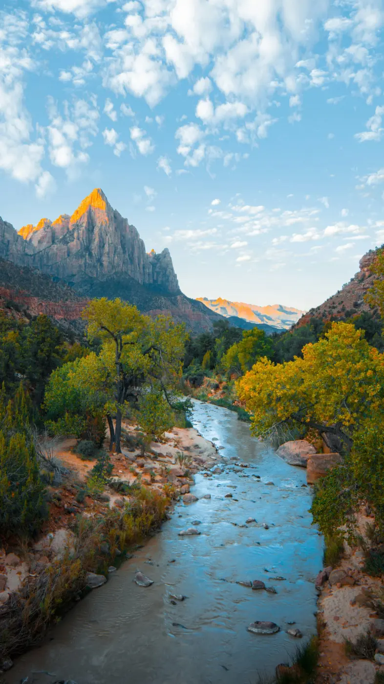 Beautiful nature wallpaper