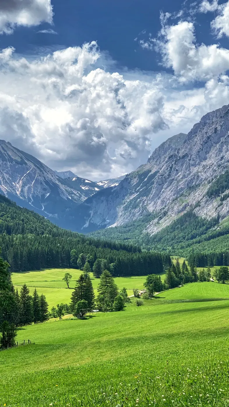 Beautiful nature wallpaper