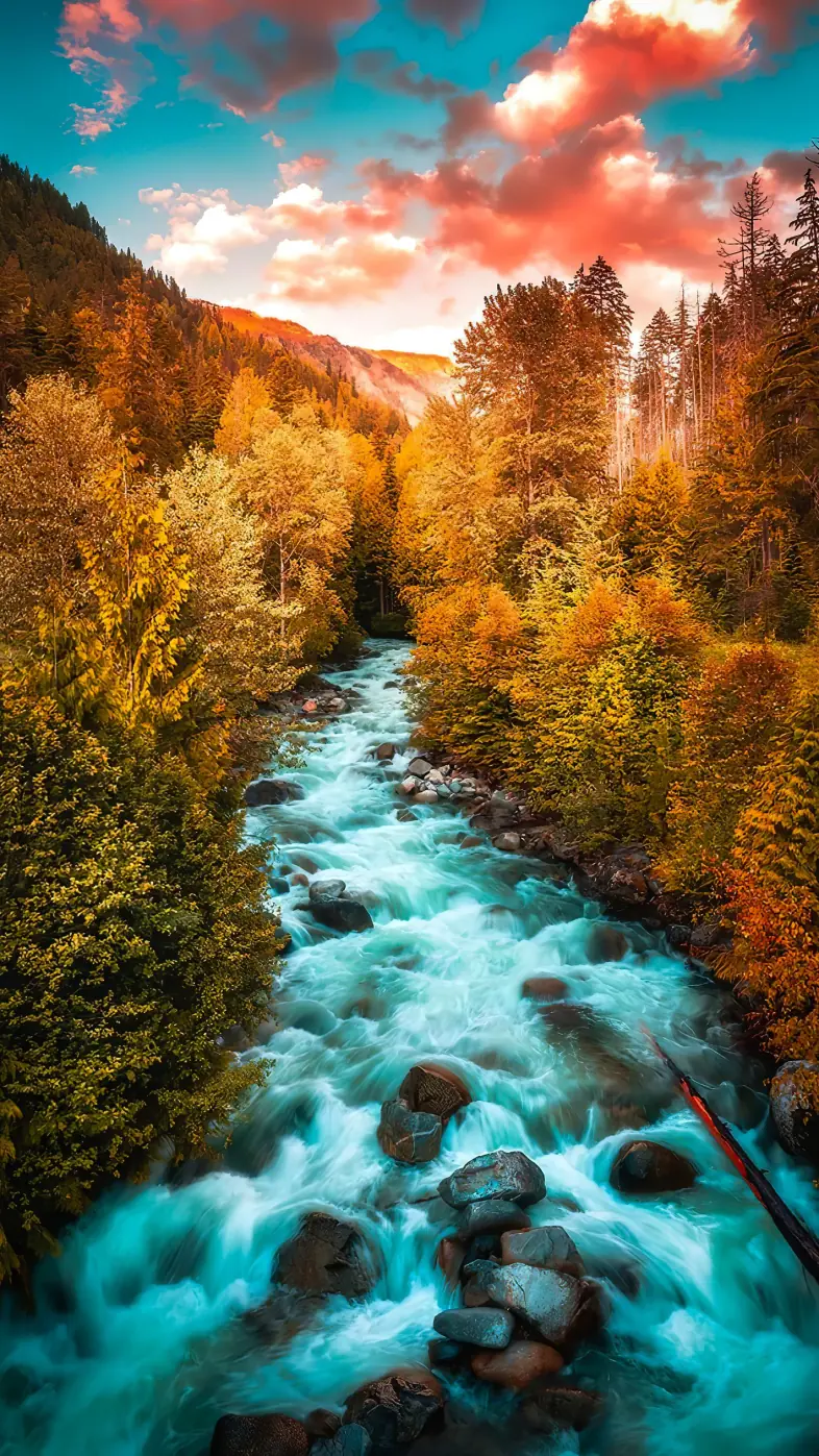 Beautiful nature wallpaper