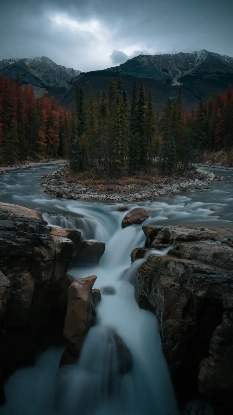 Beautiful nature wallpaper