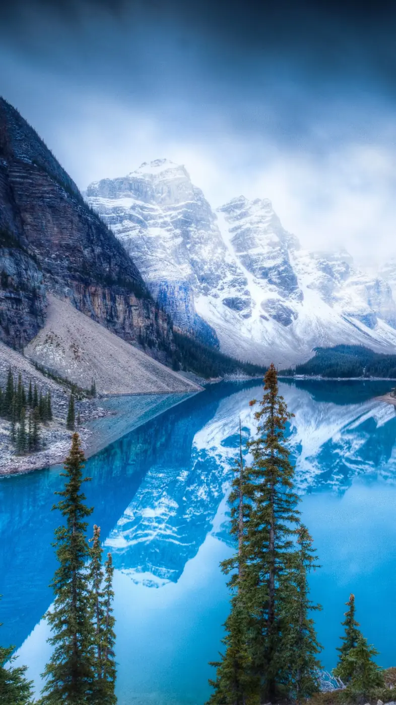 Beautiful nature wallpaper
