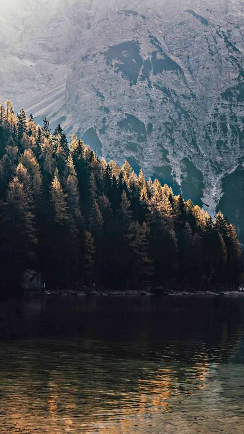 Beautiful nature wallpaper