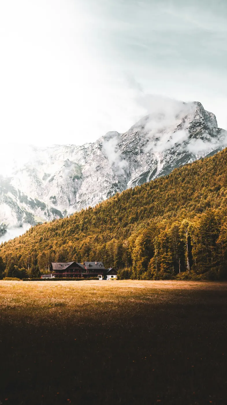 Beautiful nature wallpaper