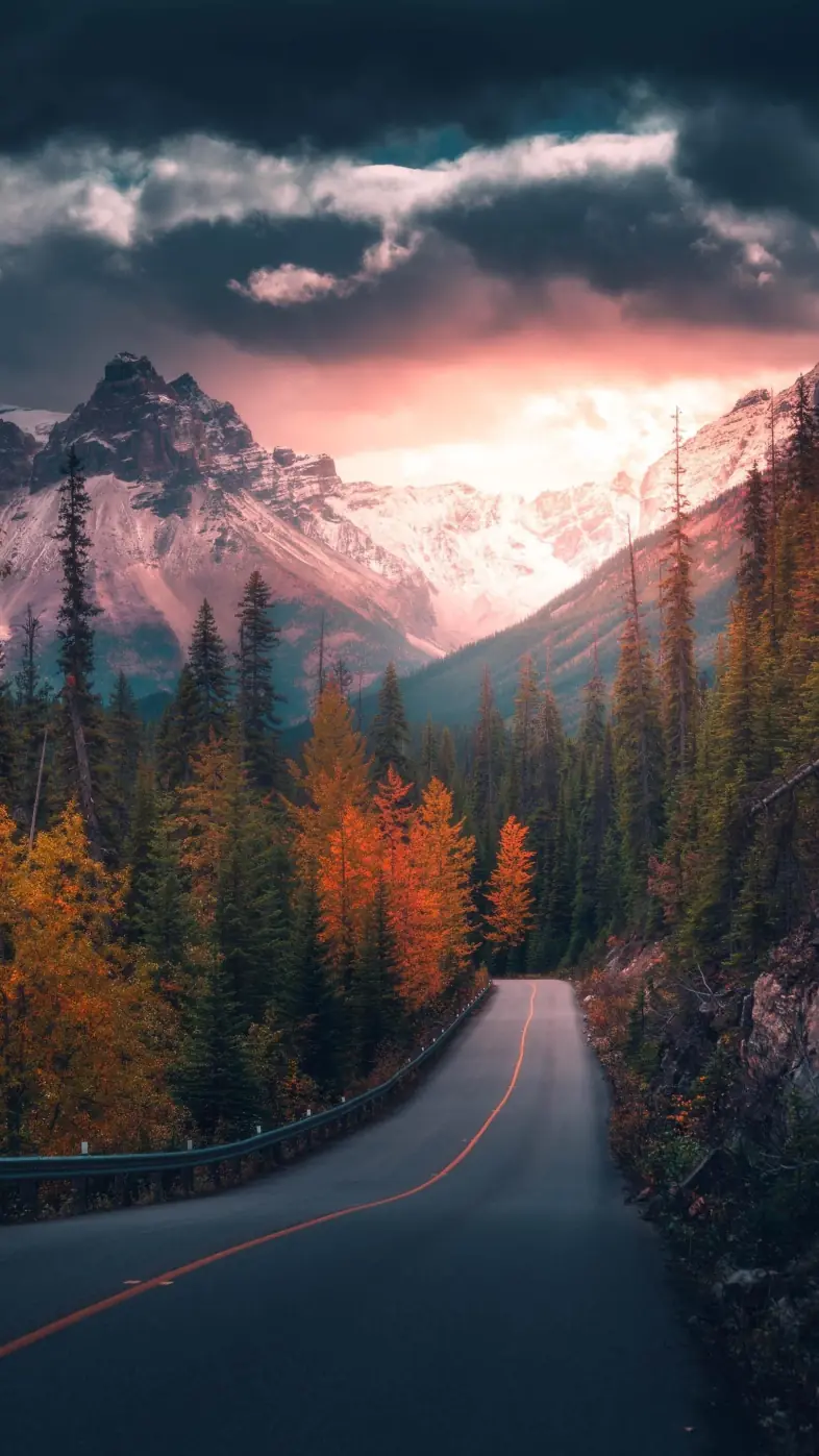 Beautiful nature wallpaper