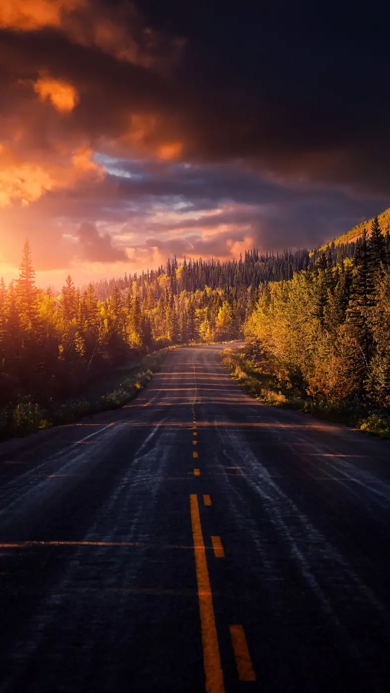 Beautiful nature wallpaper