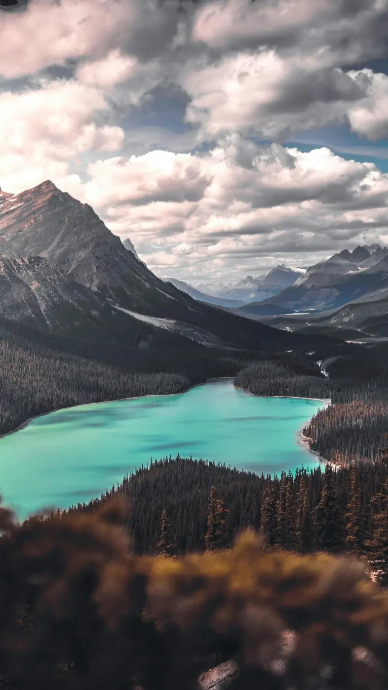 Beautiful nature wallpaper