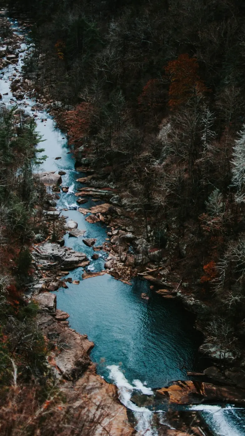 Beautiful nature  wallpaper