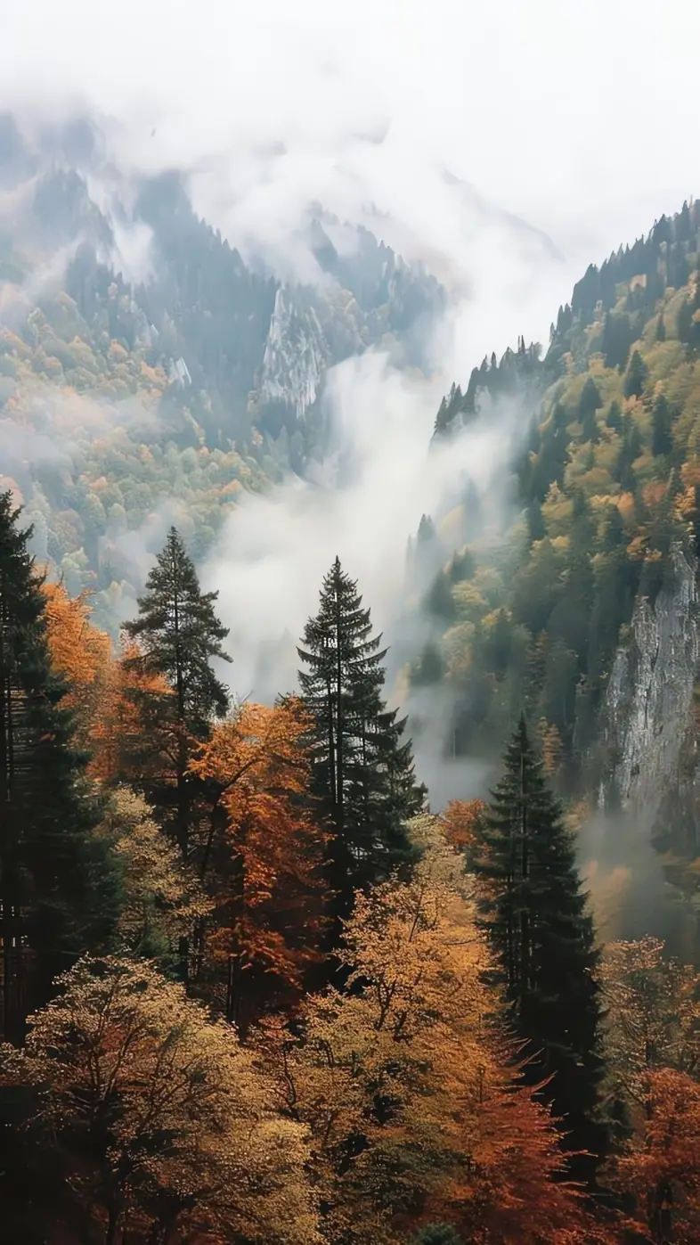 Beautiful nature wallpaper