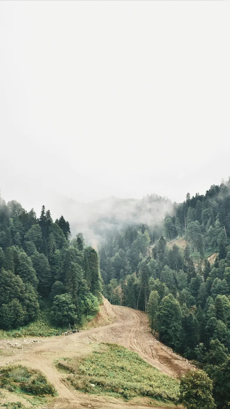 Beautiful nature wallpaper