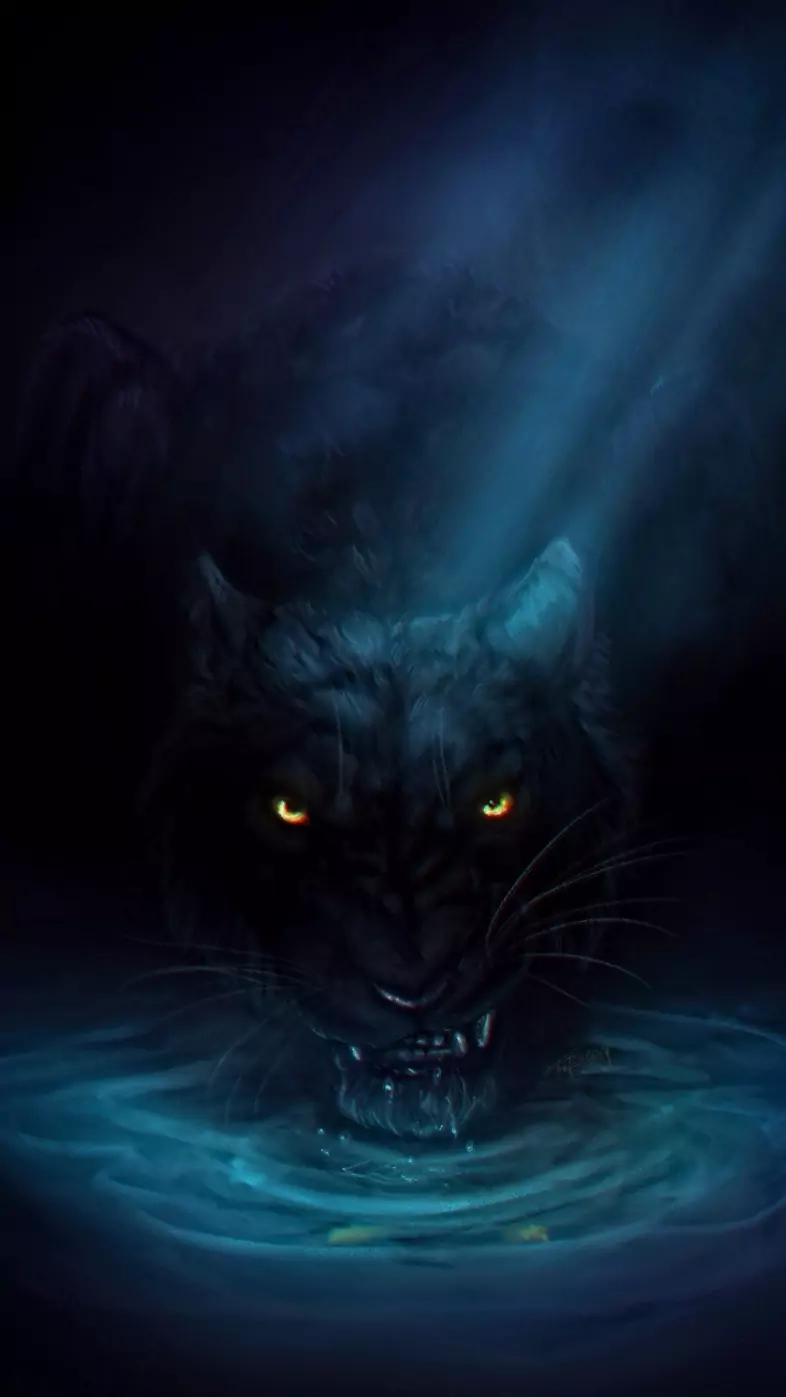 Black Tiger  wallpaper
