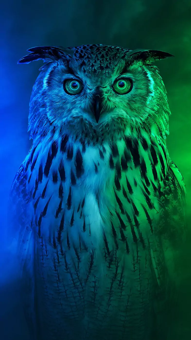 Eagle wallpaper