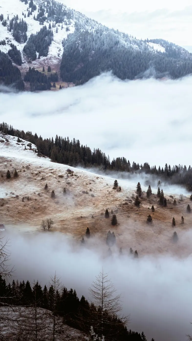 Mountain  wallpaper