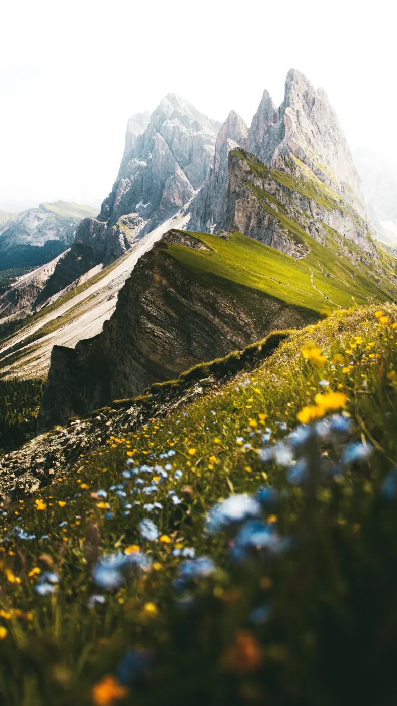 Mountain  wallpaper