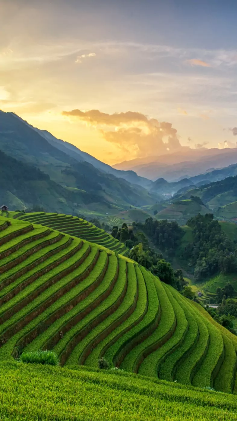 Mountain  wallpaper