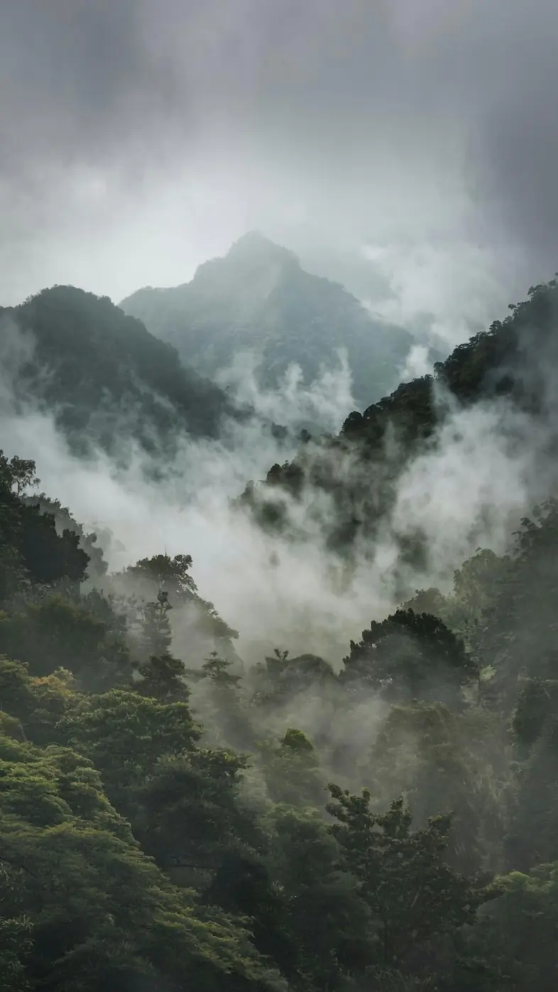 Mountain smoke wallpaper