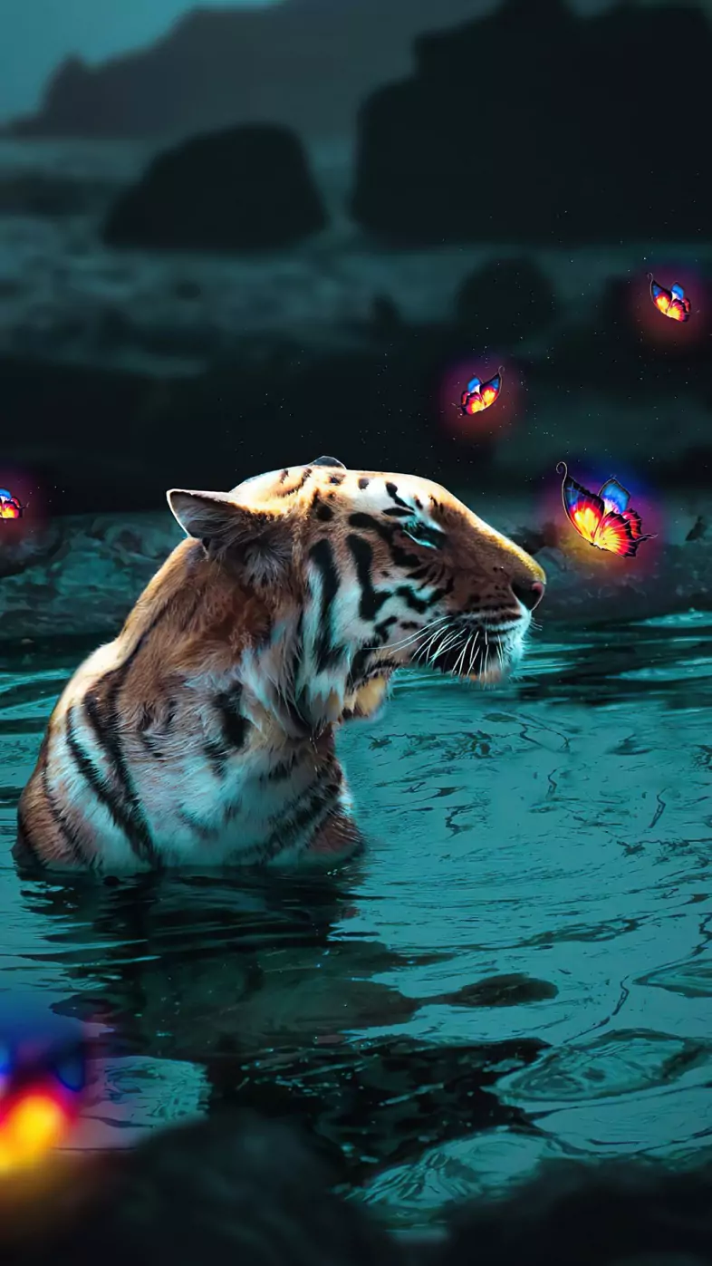 Tiger  wallpaper