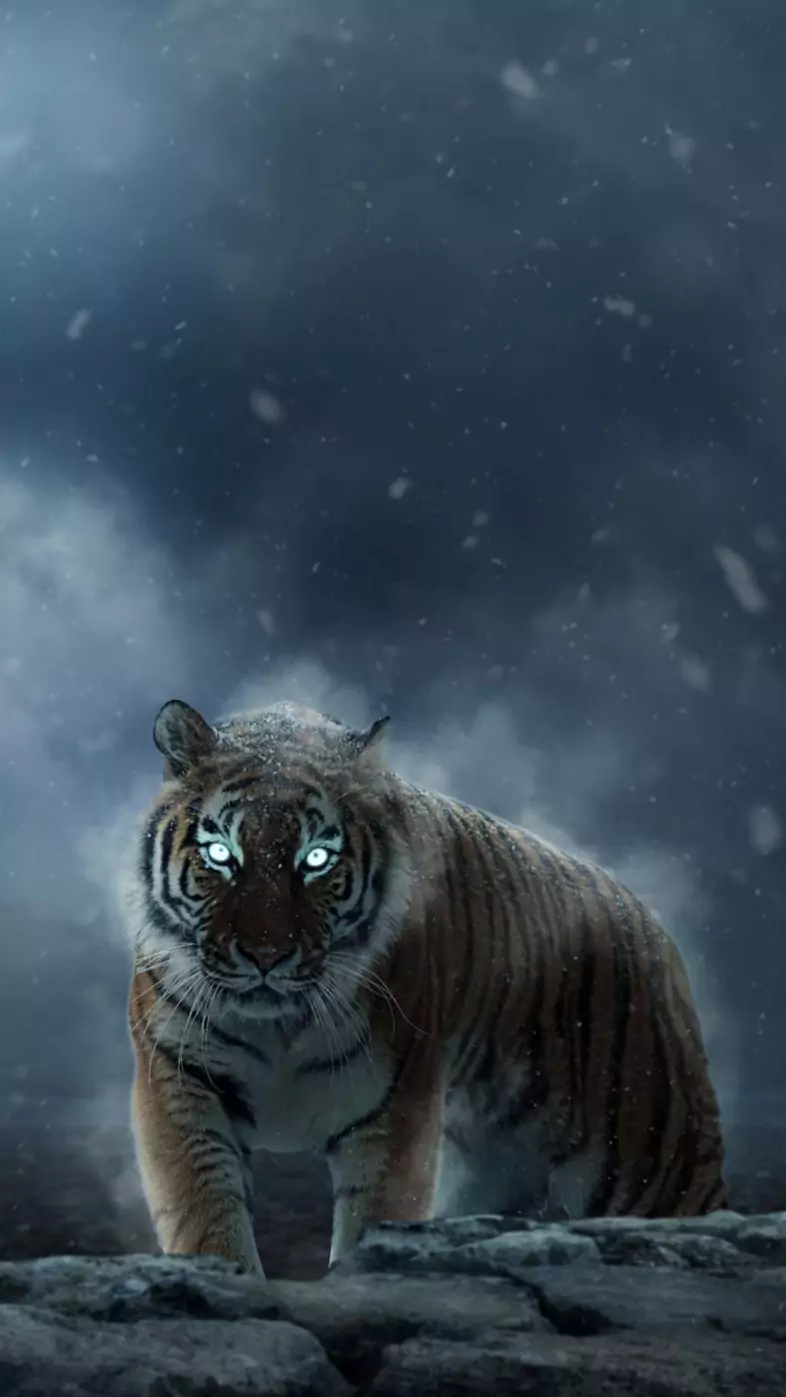 Tiger  wallpaper