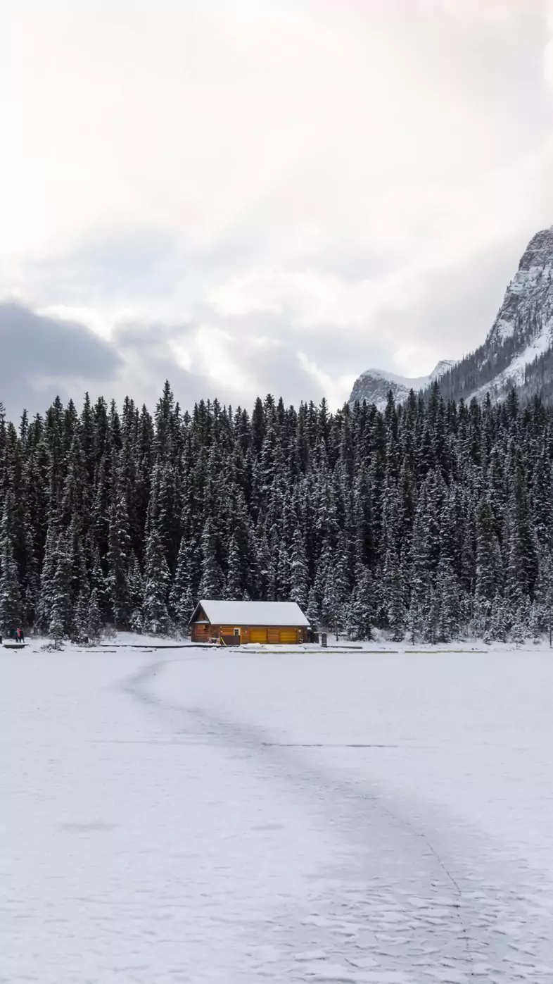 Winter house wallpaper