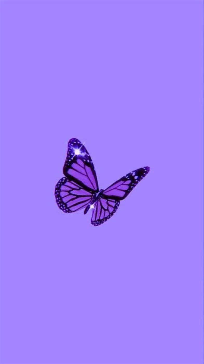 aesthetic purple butterfly  wallpaper