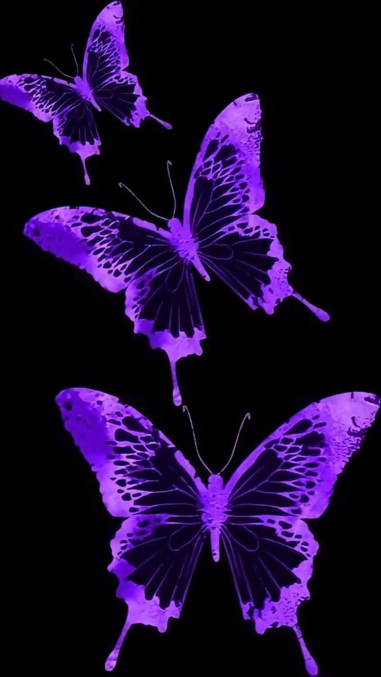 aesthetic purple butterfly  wallpaper