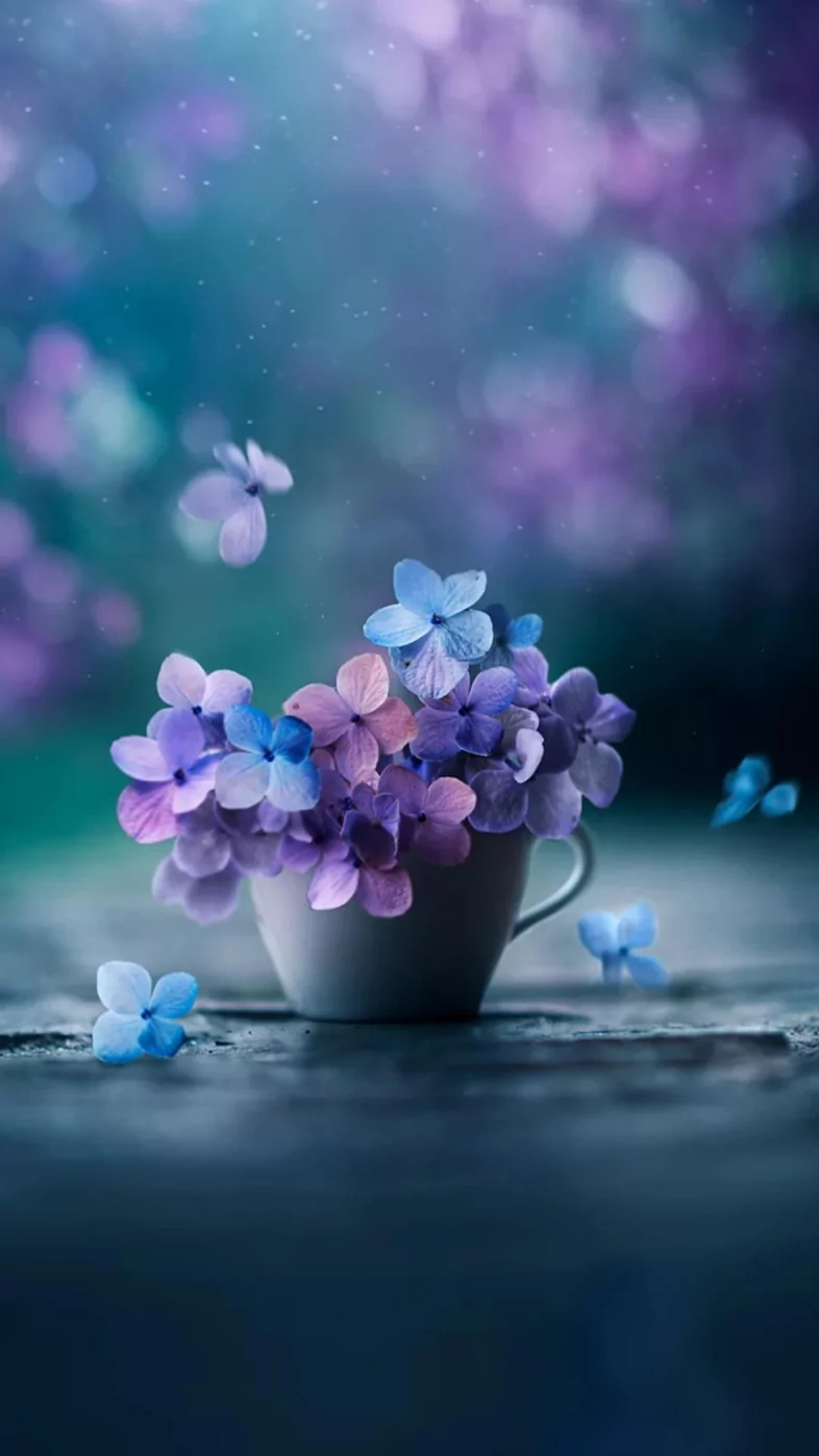 aesthetic purple flower wallpaper