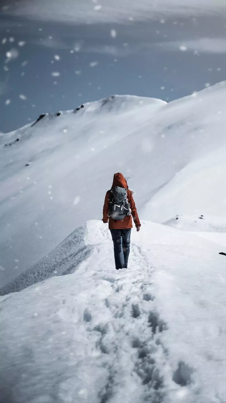 alone in winter wallpaper