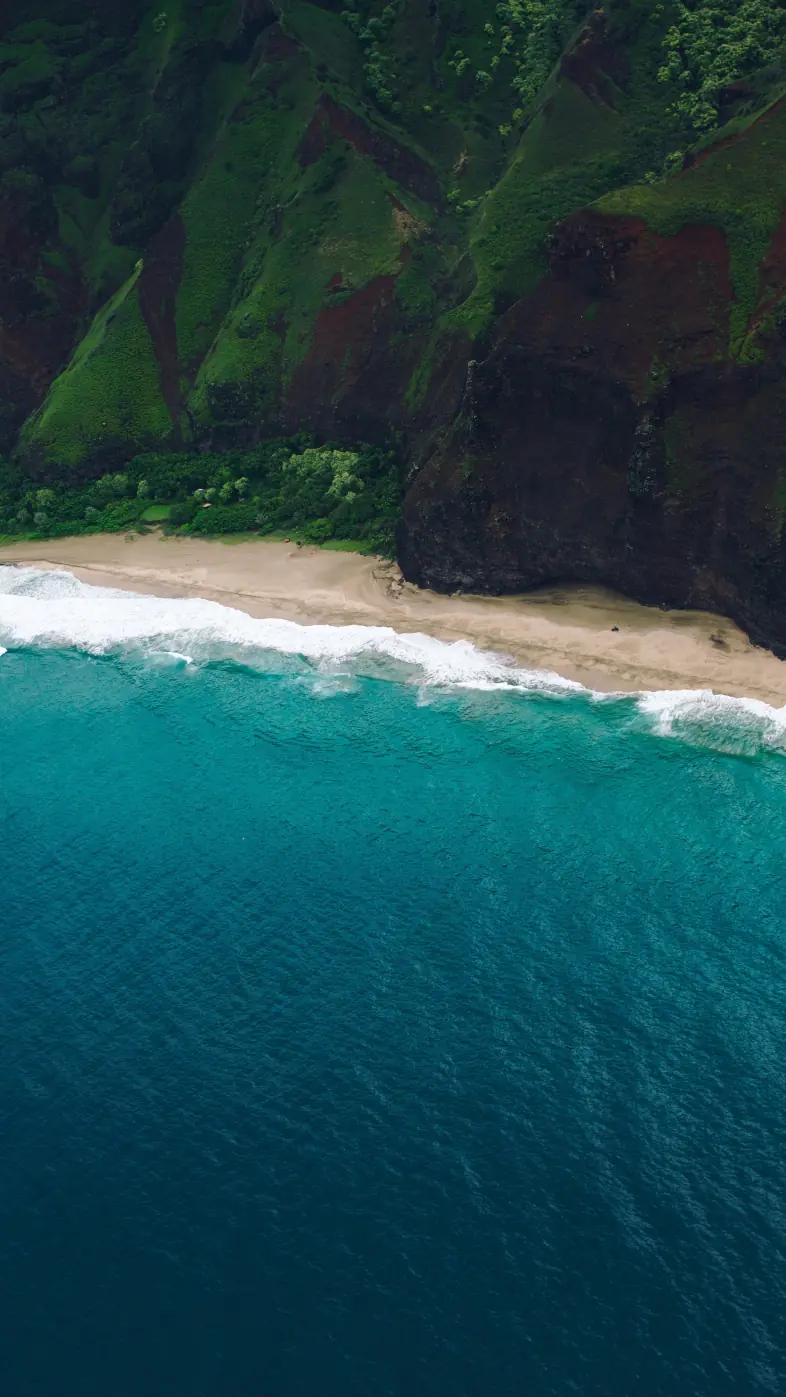 beach sea  wallpaper