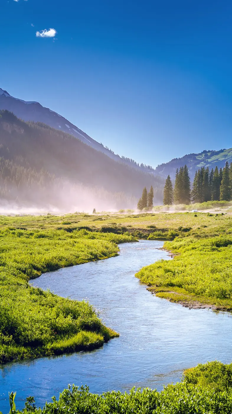 beautiful greenery landscape wallpaper