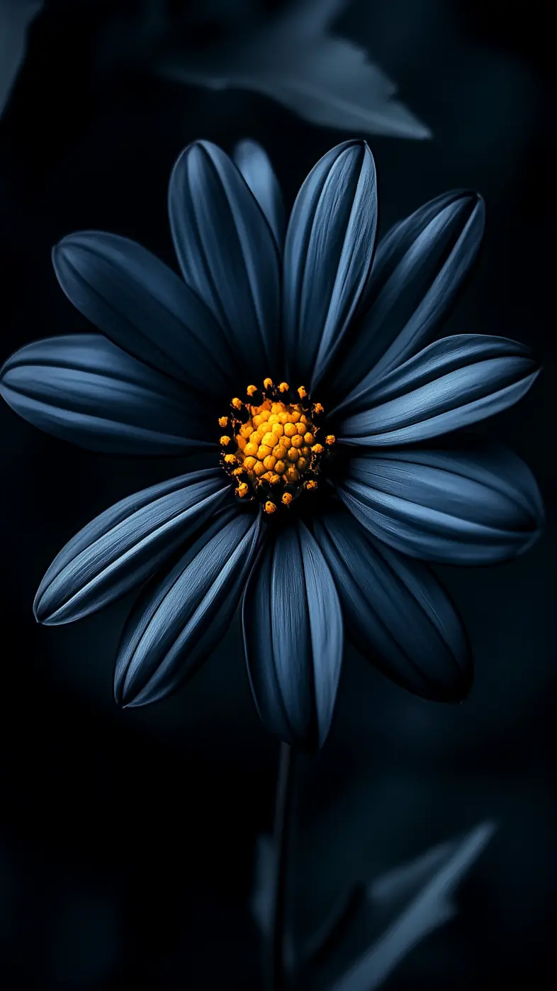 black flower wallpaper