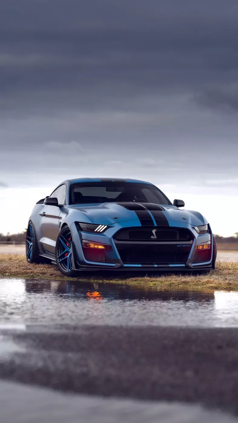 blue ford shelby gt500 car wallpaper