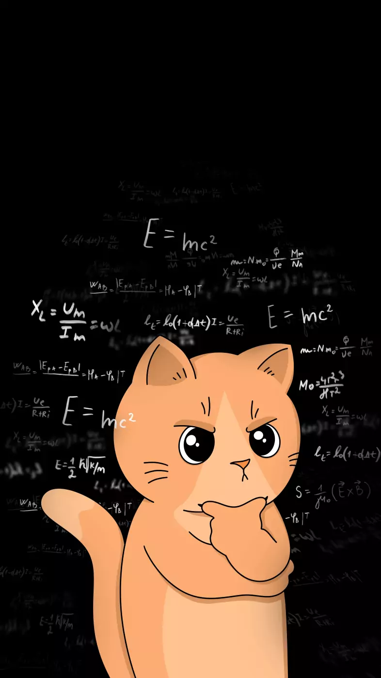 cat formulas meme science art funny wallpaper