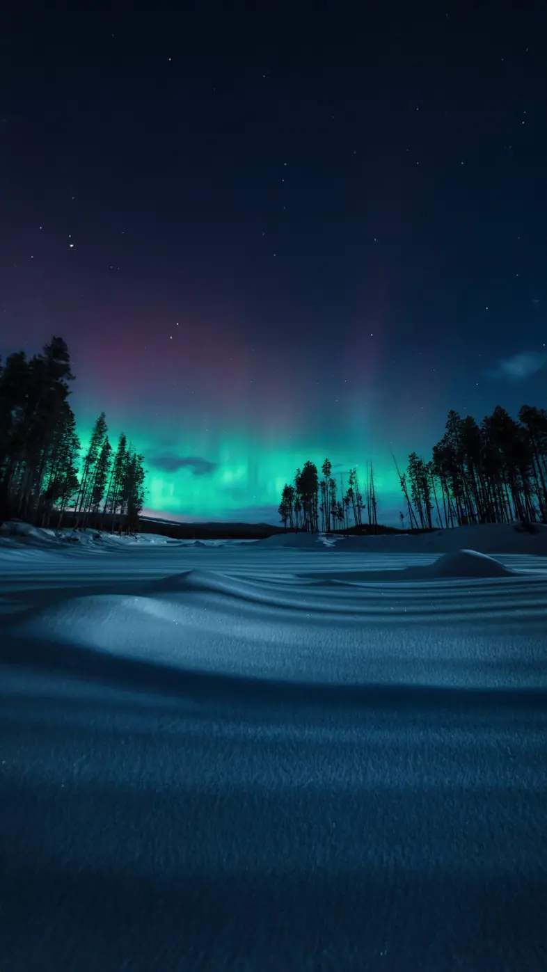 chasing the northern lights  wallpaper
