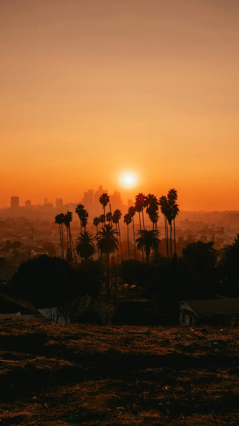 city sunset  wallpaper