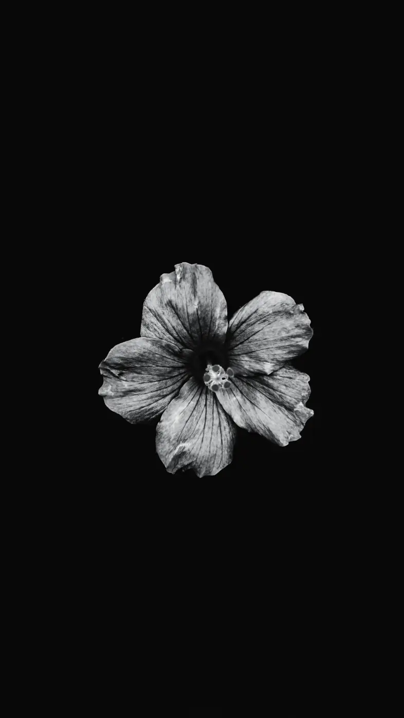 dark flower wallpaper