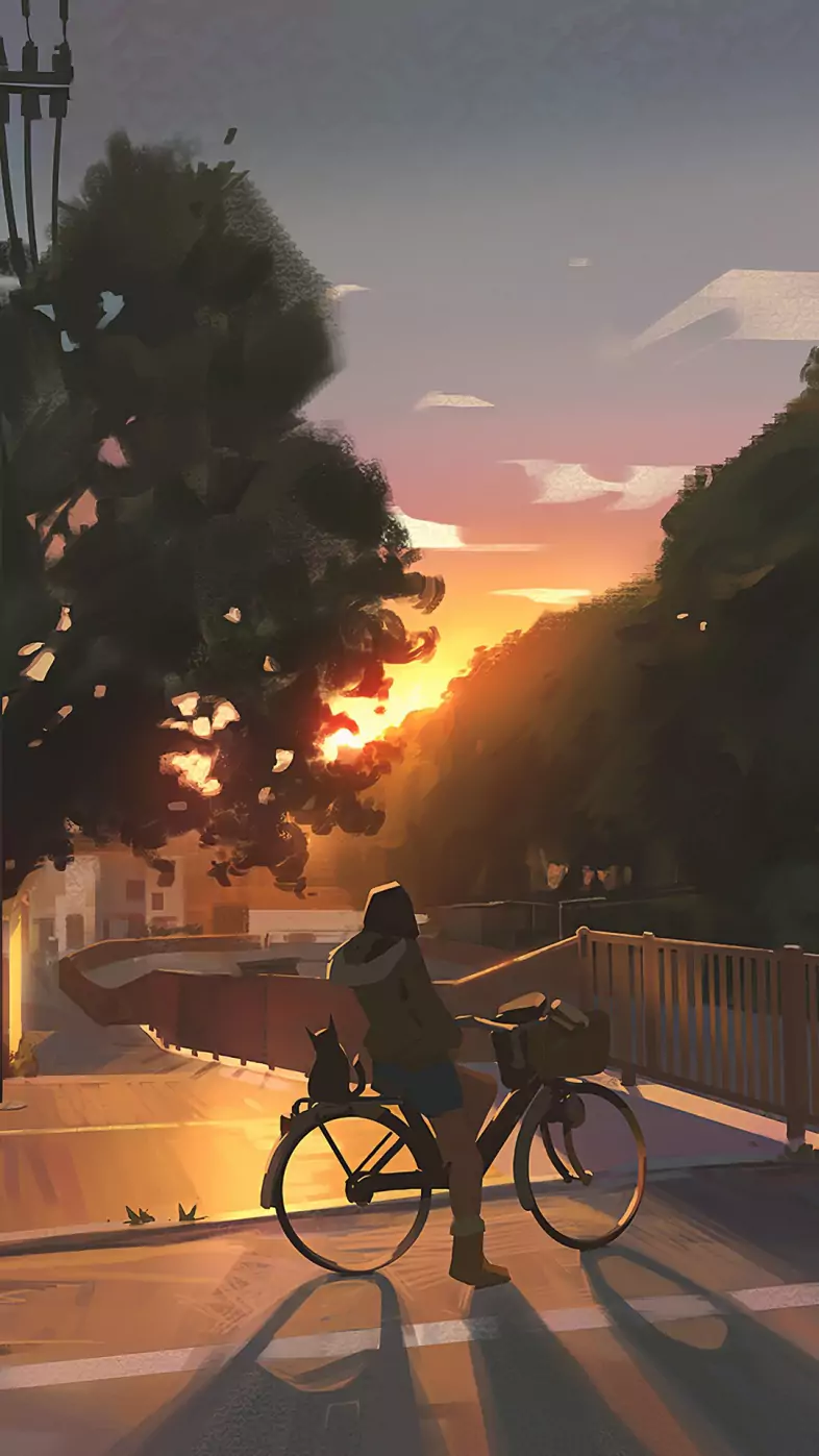 evening cycle ride wallpaper